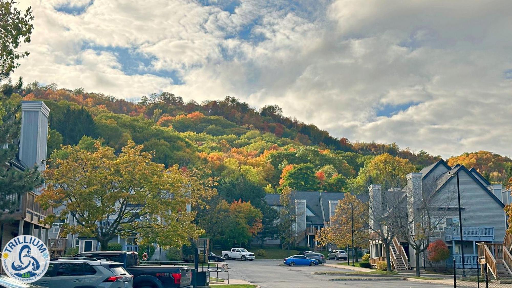 Blue Mountain At Your Door Step The The Blue Mountains Exterior foto
